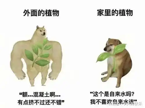 搞笑图片第856期耗费蛋糕师一生功力才能做出来的蛋糕

