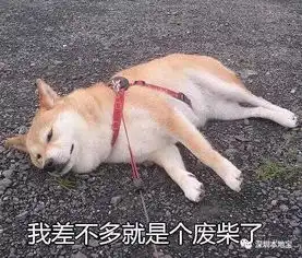 未来三天雷电大风强降水上演明天上班路上请注意...
