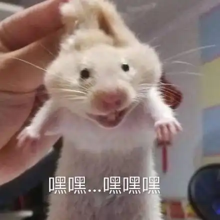 小仓鼠表情包小仓鼠微信表情包小仓鼠qq表情包发表情fabiaoqing.com
