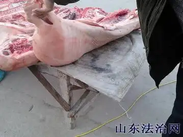 屠宰场杀猪前先打针灌水成潜规
