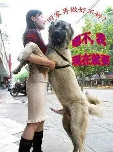 搞笑图片笑话搞笑搞笑图片精选爆笑搞笑图片大全第1315页别逗了
