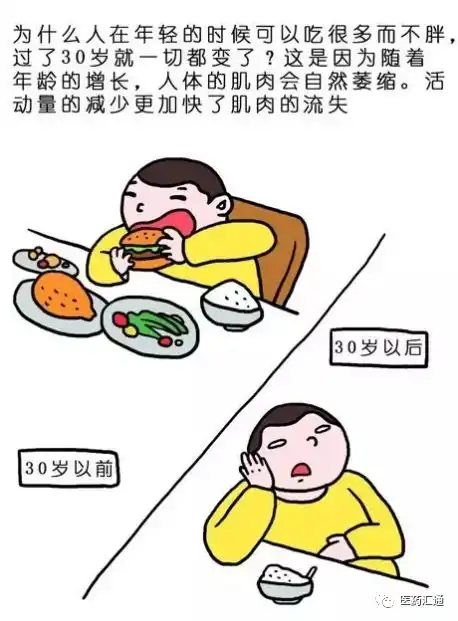 一组图告诉你,为什么少吃多锻炼瘦不了
