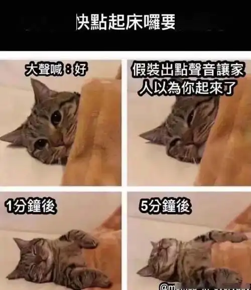 喜欢制服给搞笑囧图
