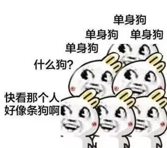 大连开通多乘员车辆专用道,单身汪慌了得赶紧找对象