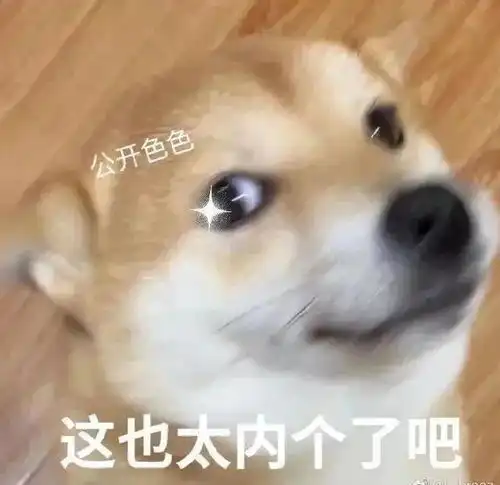可爱修狗表情包
