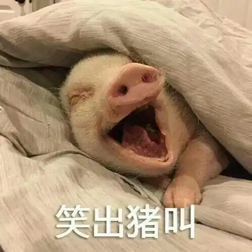 又没有人减肥完之后发现并没有脱胎换骨
