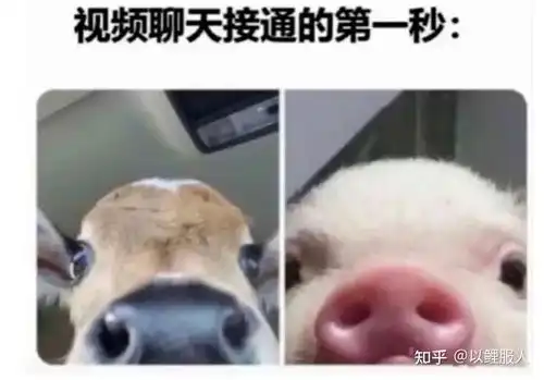 你见过哪些迷之笑点的图片
