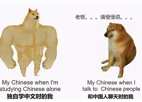 老外用梗图吐槽中文难,像极了考英语六级的你,太搞笑了
