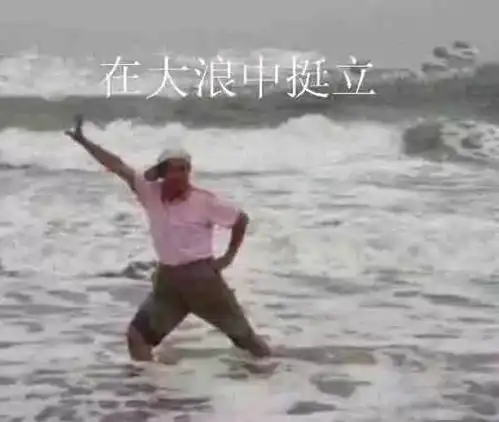 怎样用一句话形容二手车人
