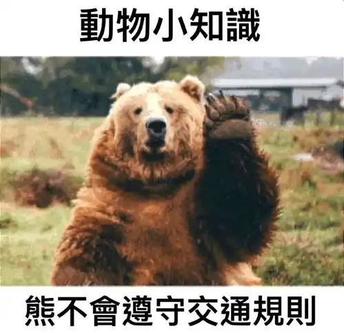 每日一笑如果我把闹钟调到半夜,那我一天就可以睡两次觉
