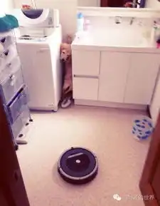 每只汪内心都住着个胆小鬼,动不动就怂成狗
