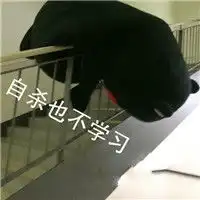 熊本熊搞笑表情包系列之不想学习我就是不学习

