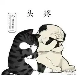 段子2018最搞笑的图片
