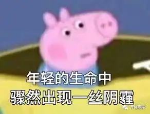 带跑道的神户型刷屏悲催的是过道并不是自家的
