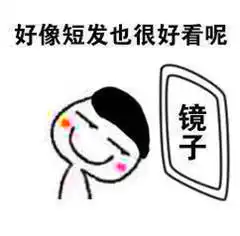 搞笑表情包镜子前帅到掉渣,摄像头前丑成狗
