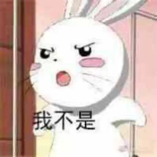 我想知道这个兔子叫什么名,或者有没有这样的表情包我想要白兔子高清图
