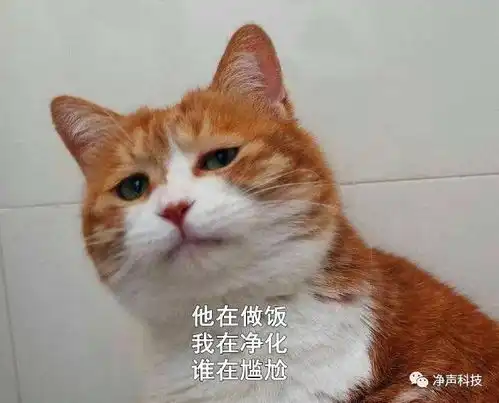 几十万买了一套不隔音不好卖的房子,要疯了
