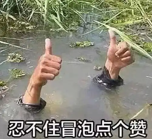 wildfieldhealth哪些低热量又饱腹的食物能帮助减肥