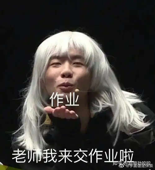 有没有什么关于交作业的表情包