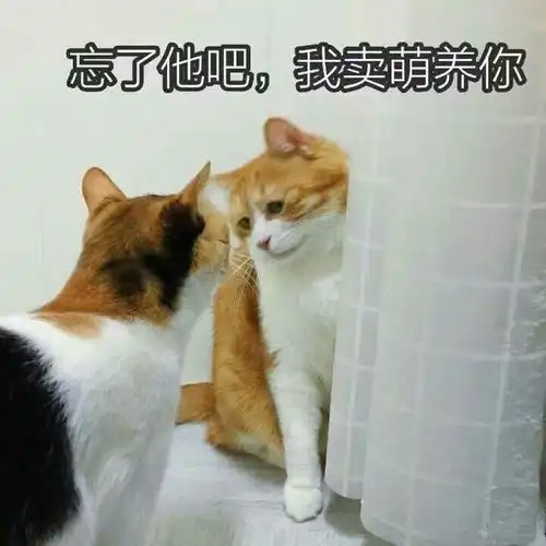 男朋友当着你的面跟别的女生要联系方式,大家怎么看

