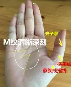 玄真阁手腕线有三条,已经不得了,若出现四条,大吉大利的手相
