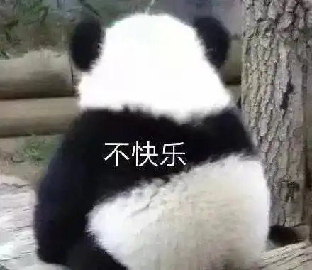 表情包分享等下我们就议论你