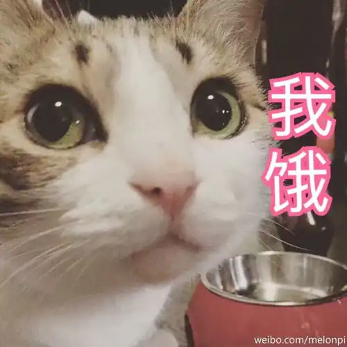 超搞笑的表情包和不一样的生日祝福语
