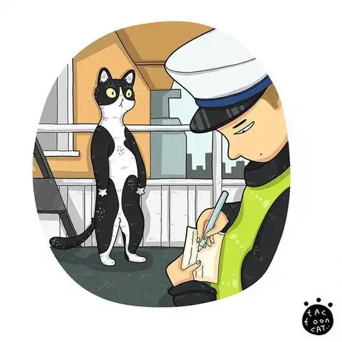 偷鱼报天气猫超多怪行为漫画揭喵星人幽默一面
