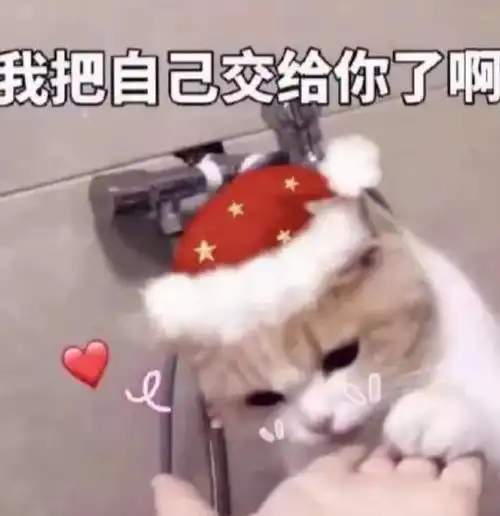 omg平安夜圣诞节表情包来咯小仙女火速收藏真的超可爱der

