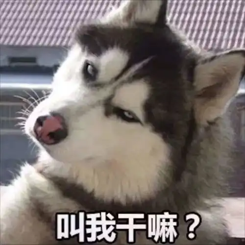 重庆周日阳光灿烂主城或迎2020年最冷早晨
