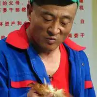 赵四搞笑微信头像微信头像图片大全

