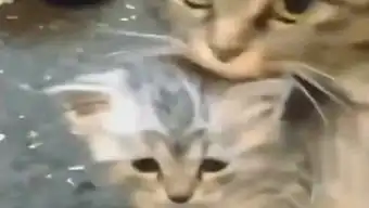 酸爽搞笑段子thirteen的个人频道