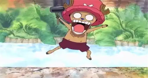 海贼王乔巴,他是萌宠,也是搞笑担当
