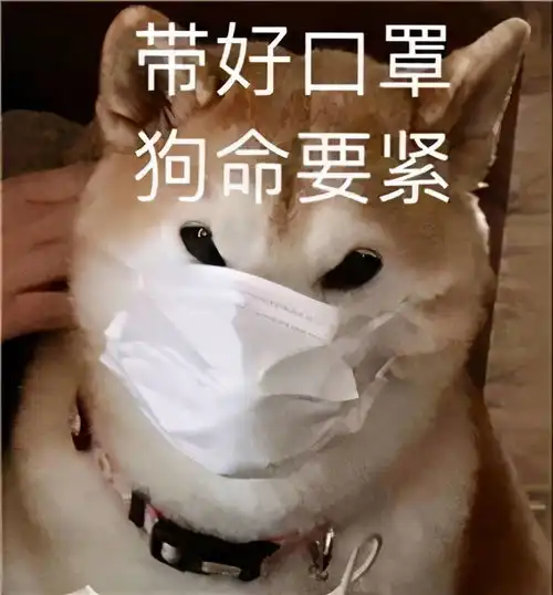出彩滚滚不心动挑战第二期经过上次的挑战,我成长了
