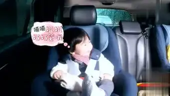 搞笑呆头鹅的个人频道
