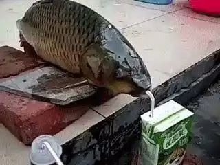我要娶她做老婆和她在一起很有安全感
