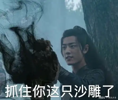 陈情令表情包魏无羡