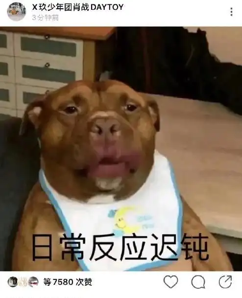 肖战看着瘦饭量大,坐在街边吃两碗面吓到粉丝,肖战自己都惊讶了
