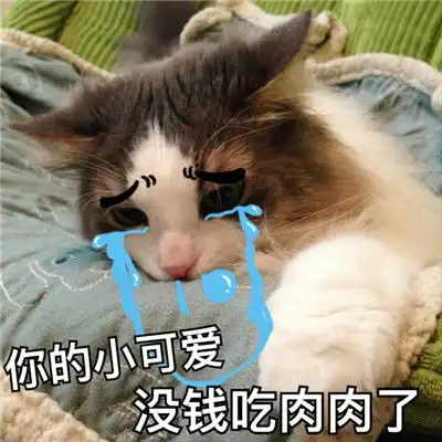 2018猫咪可爱带字搞笑头像qq群头像我从一个小可爱长成大可爱