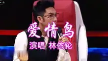 27年前情歌爱情鸟,石家庄籍歌手林依轮演唱,载歌载舞真好看
