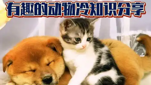 有趣的动物冷知识分享,你们都知道多少呢
