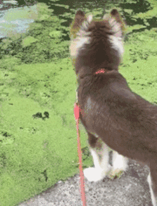 搞笑图片看你还敢不敢生二胎
