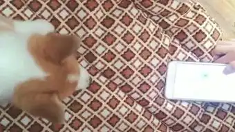 酸爽搞笑段子sixteen的个人频道
