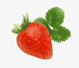 新鲜的草莓手绘插画图片素材其他格式下载动漫人物大全
