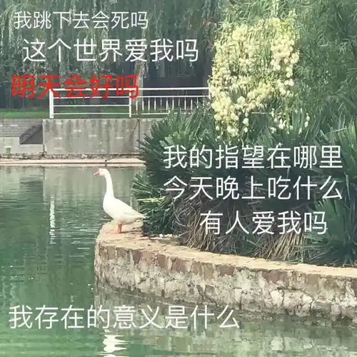 谁能告诉我
