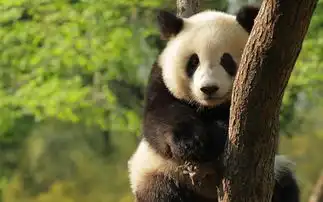 这些有趣有名的镇省神器,看看你都知道几个
