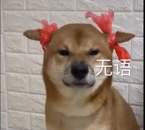 救命啊刚看到一半的文,发现男主在作者...
