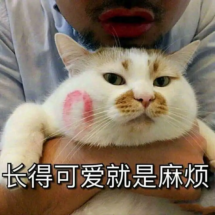 王霖滔的想法有哪些讲给女朋友的睡前甜甜小故事
