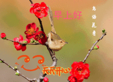 历史上的今天
