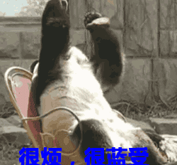 已经过完2017所有节假日表情图片下载已经过完所有法定节假日搞笑表情图片高清无水印极光下载站
